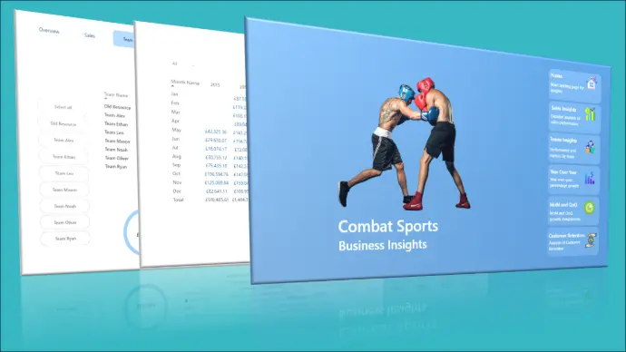 Business analysis dashboard exploring performance, revenue trends, and market insights in the combat sports industry using data visualization. Combat Sport Business Analysis